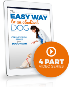 Doggy Dan Easy Way Product Image