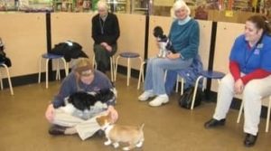 PetCo Dog Training