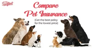 Dog Health Insurance