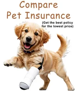 Compare Pet Insurance